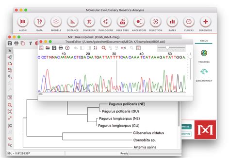 mega 6.0 software|Downloads .